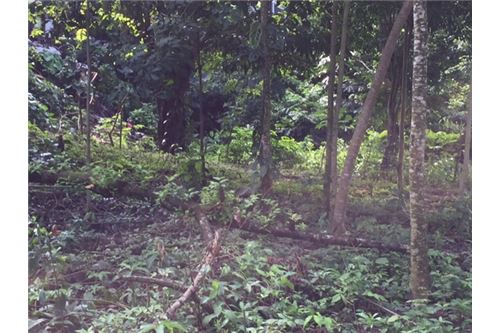 Building Lots for sale in Herradura Bay Costa Rica