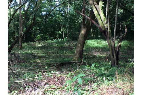 Building Lots for sale in Herradura Bay Costa Rica