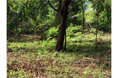 Building Lots for sale in Herradura Bay Costa Rica