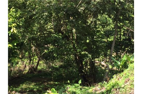 Building Lots for sale in Herradura Bay Costa Rica