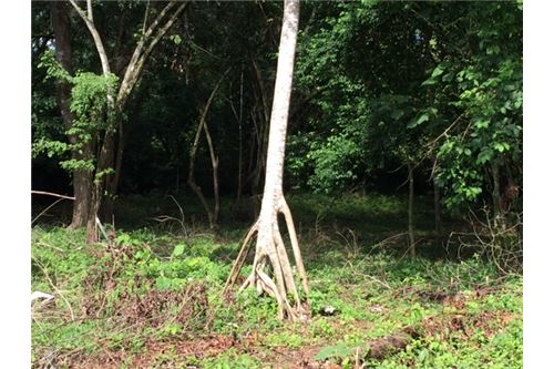 Building Lots for sale in Herradura Bay Costa Rica