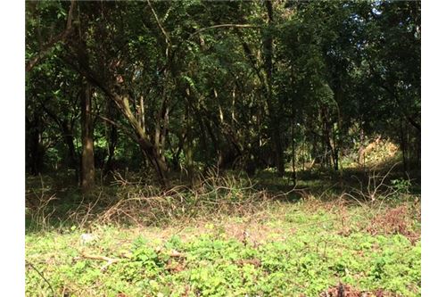 Building Lots for sale in Herradura Bay Costa Rica