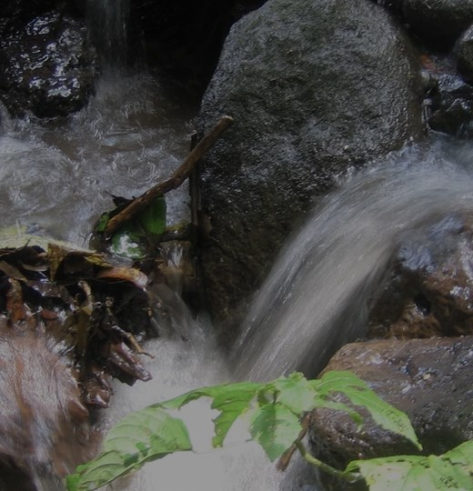 Building Lots for sale in Mora Costa Rica