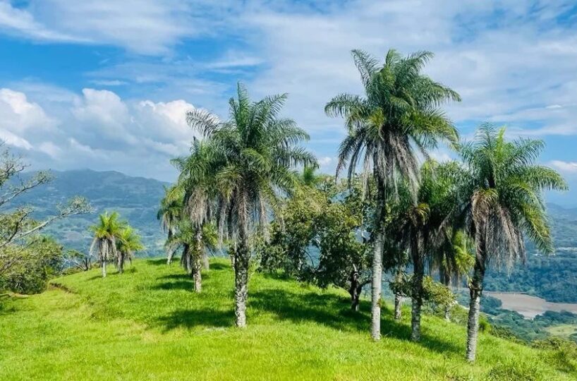 Building Lots for sale in Mora Costa Rica