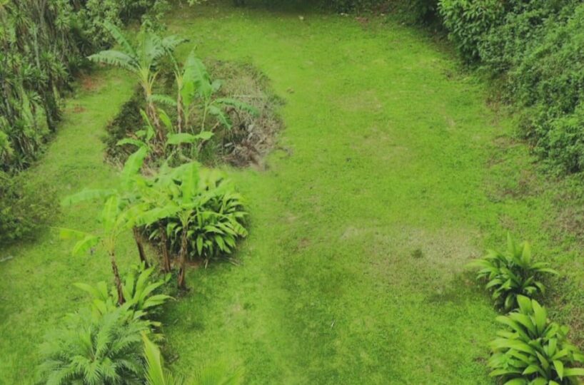 Homes for sale in Mora Costa Rica