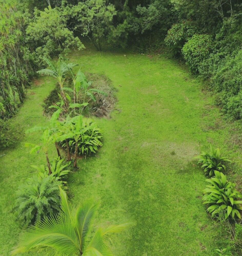 Homes for sale in Mora Costa Rica