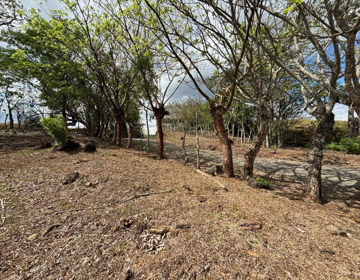Building Lots for sale in Mora Costa Rica