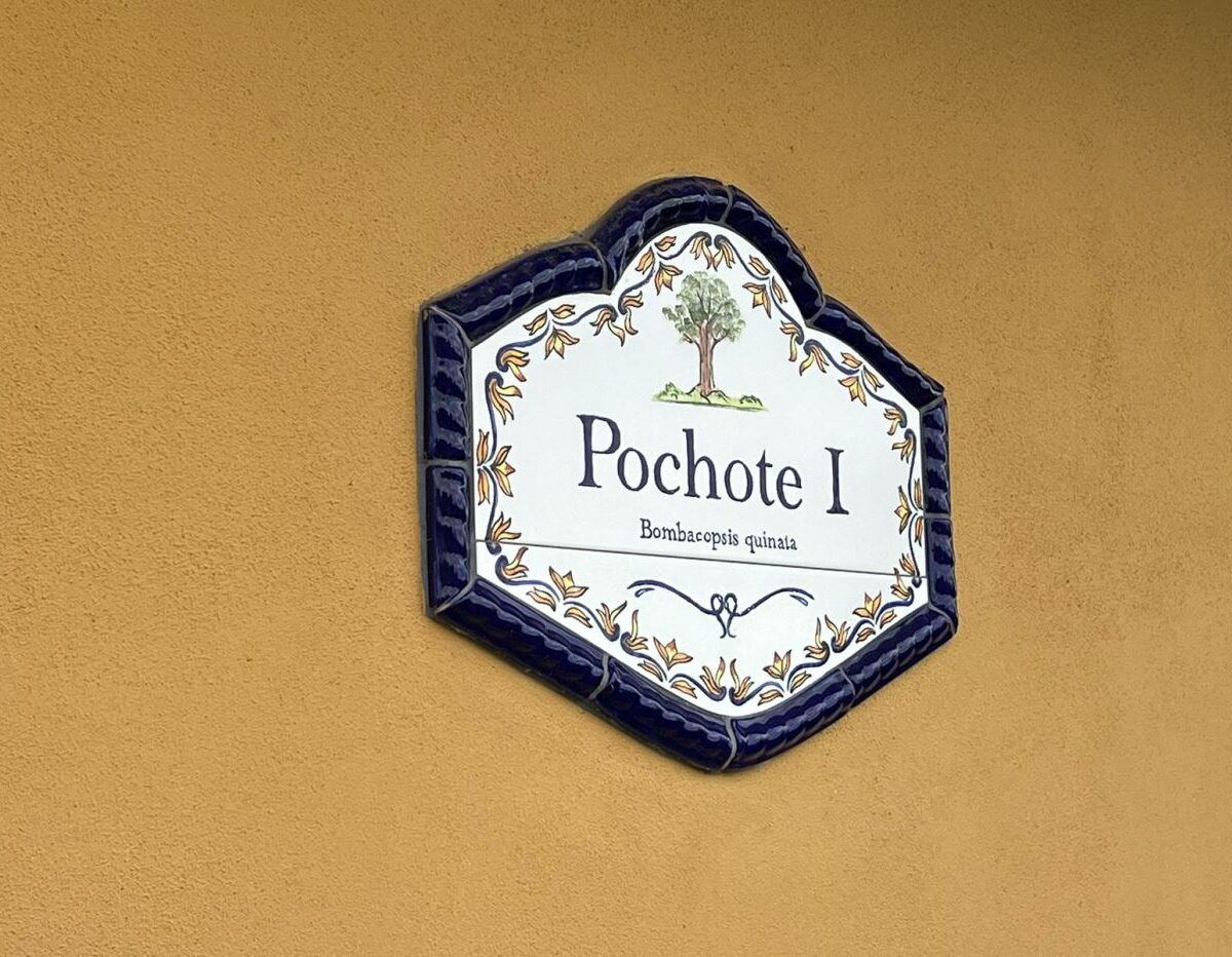 Homes for sale Costa Rica