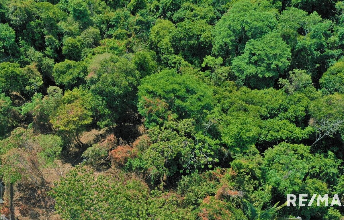 Building Lots for sale in Hermosa Beach Costa Rica