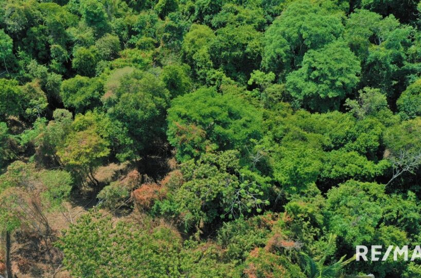 Building Lots for sale in Hermosa Beach Costa Rica