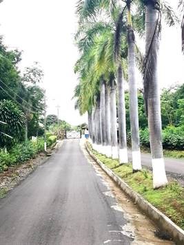 Homes for sale in Orotina Costa Rica