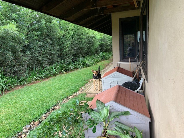 Homes for sale in Orotina Costa Rica