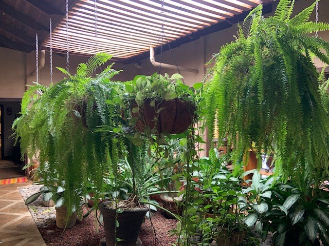 Homes for sale in Orotina Costa Rica