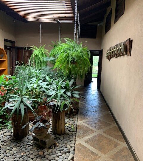 Homes for sale in Orotina Costa Rica