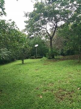 Homes for sale in Orotina Costa Rica