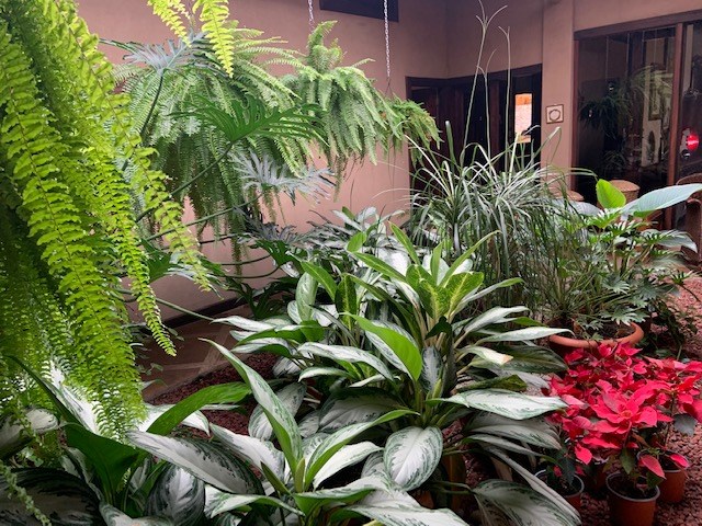 Homes for sale in Orotina Costa Rica