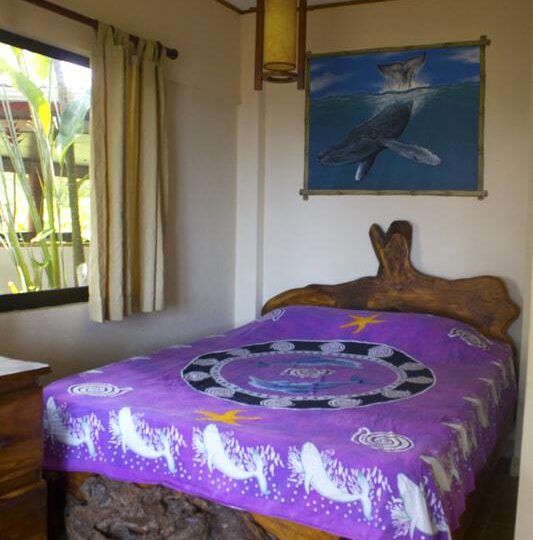 Hotel - B&B for sale in Hermosa Beach Costa Rica