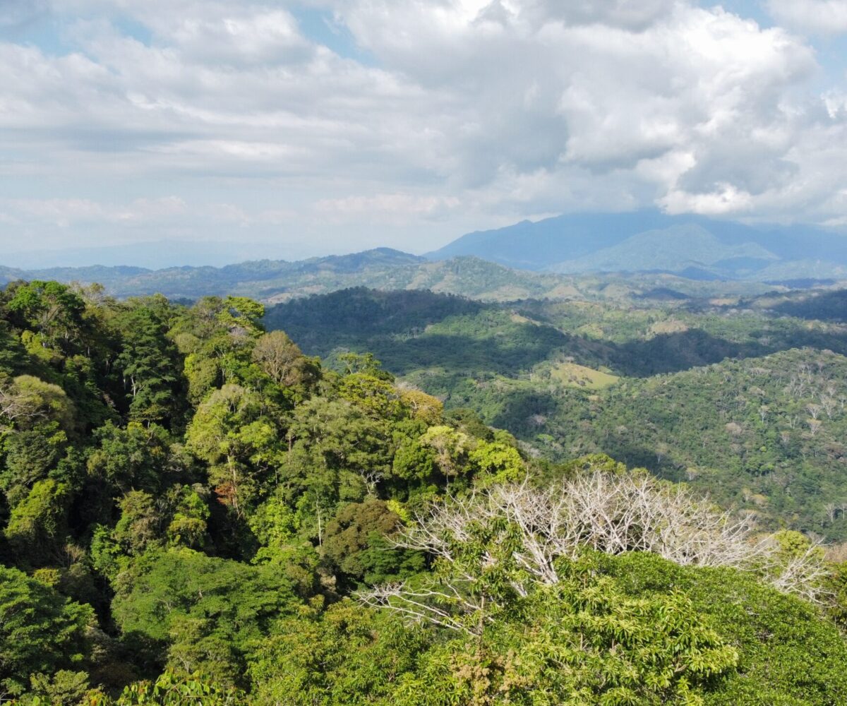 Farms and Ranches for sale in Jaco Beach Costa Rica