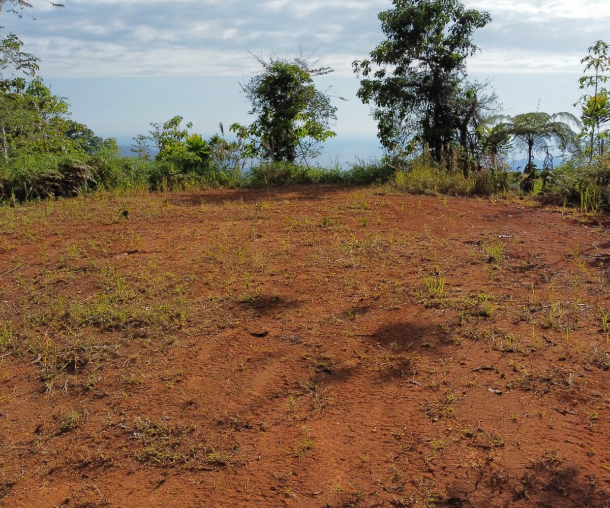 Farms and Ranches for sale in Jaco Beach Costa Rica