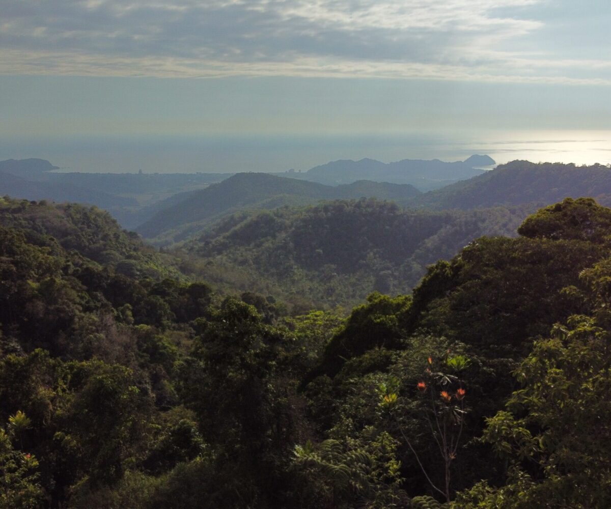 Farms and Ranches for sale in Jaco Beach Costa Rica