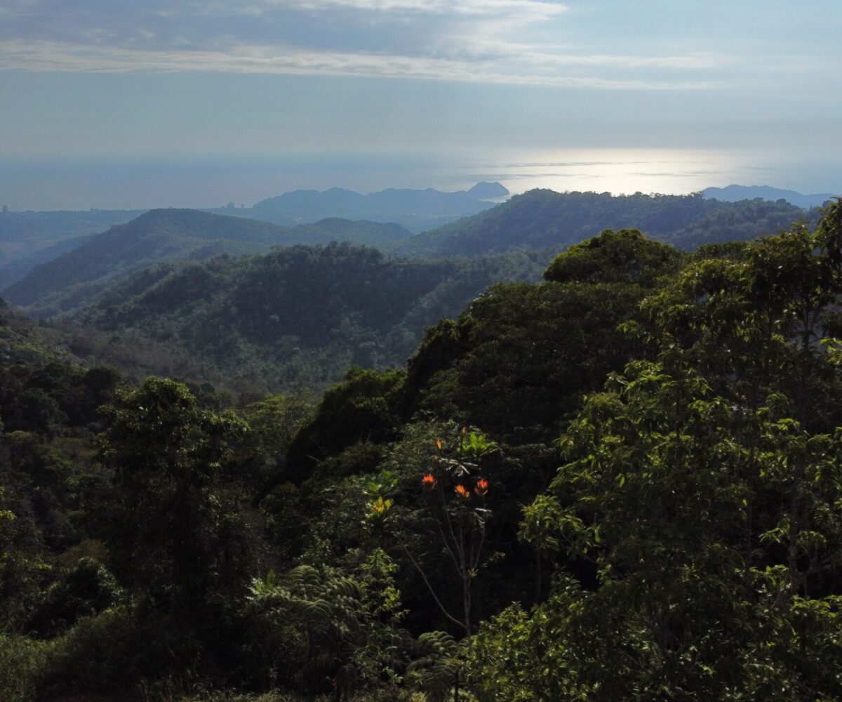 Farms and Ranches for sale in Jaco Beach Costa Rica