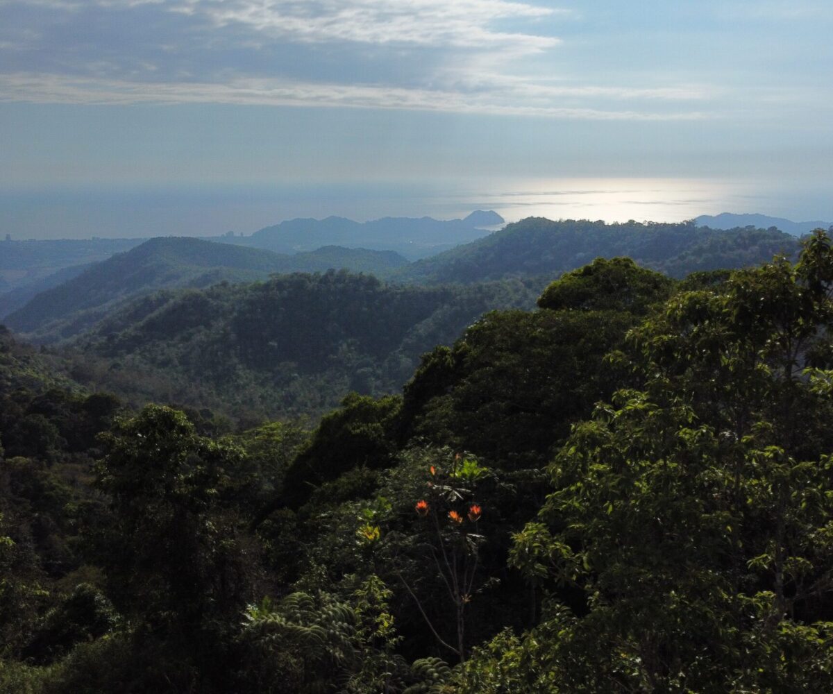 Farms and Ranches for sale in Jaco Beach Costa Rica