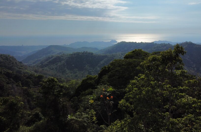 Farms and Ranches for sale in Jaco Beach Costa Rica