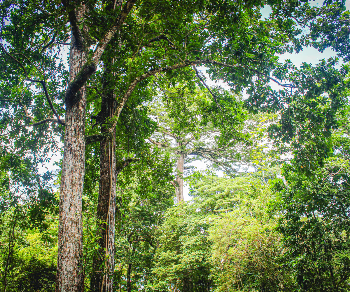 Building LotsDevelopment Land for sale in Hermosa Beach Costa Rica