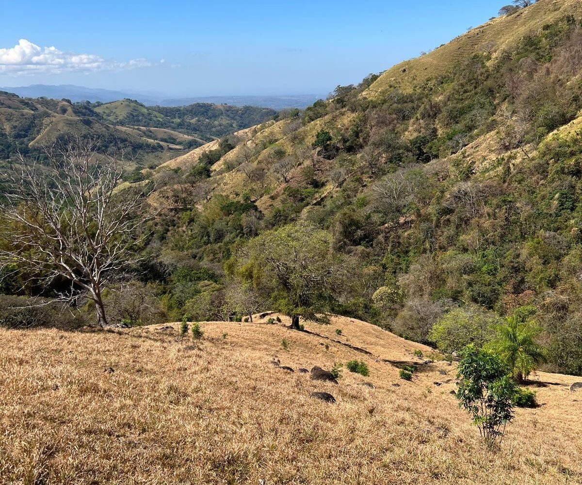 Building Lots for sale Costa Rica