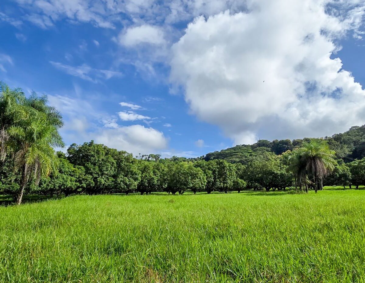 Building Lots for sale Costa Rica