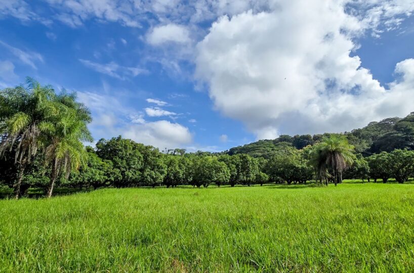 Building Lots for sale Costa Rica