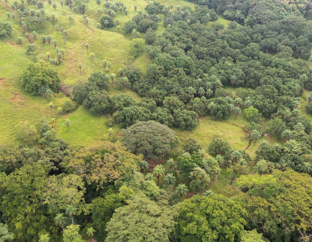 Building Lots for sale Costa Rica