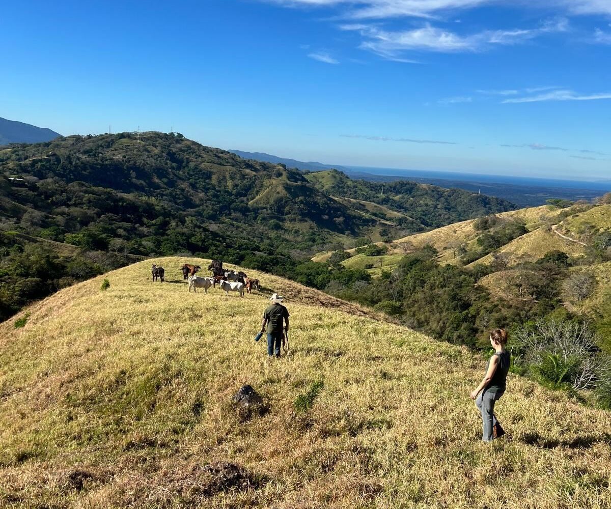 Building Lots for sale Costa Rica