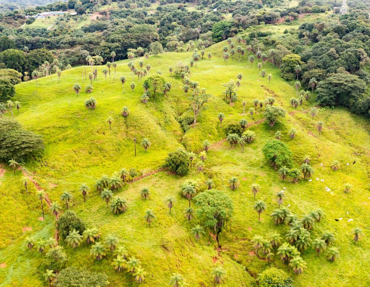 Building Lots for sale Costa Rica