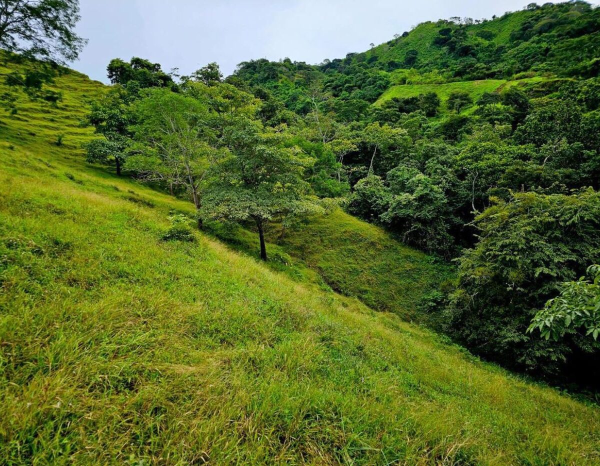 Building Lots for sale Costa Rica