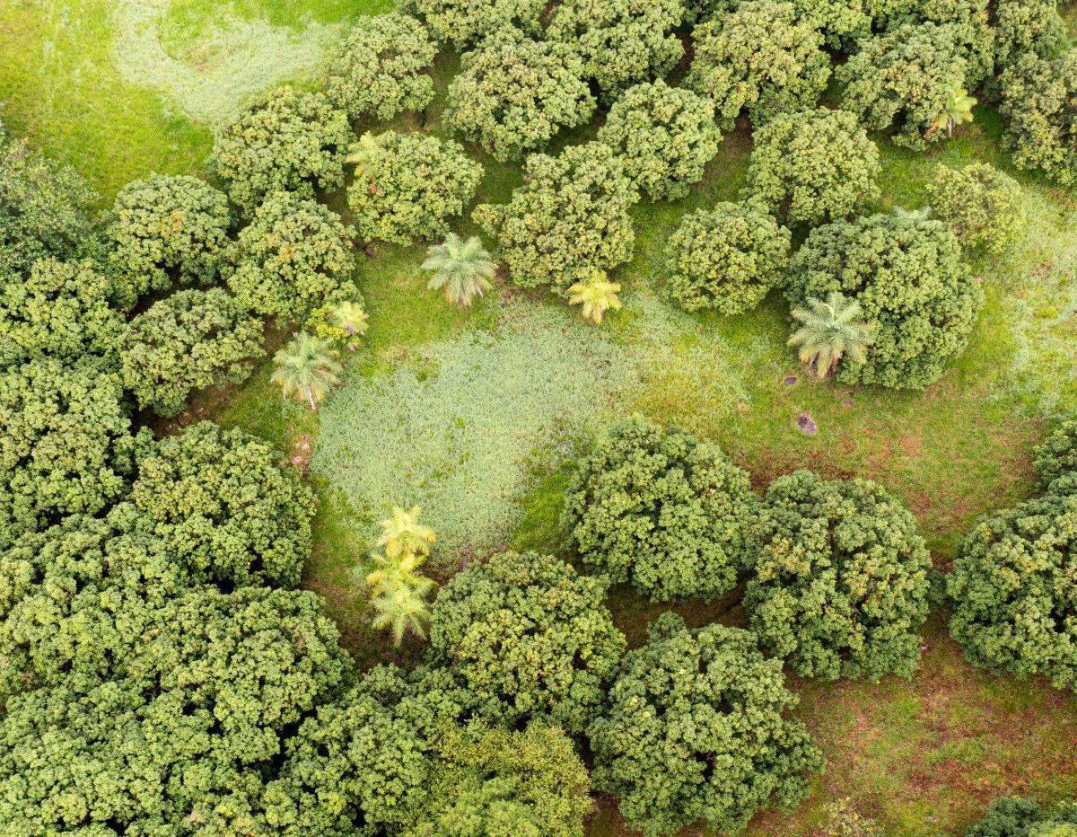 Building Lots for sale Costa Rica