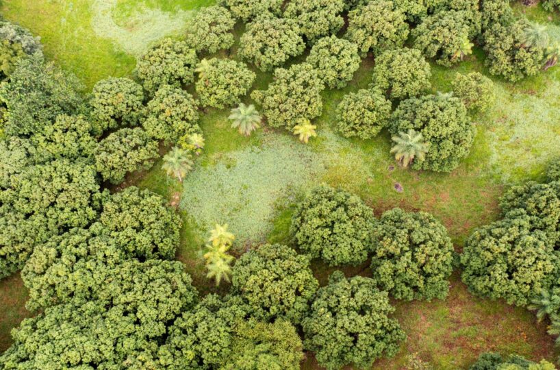 Building Lots for sale Costa Rica