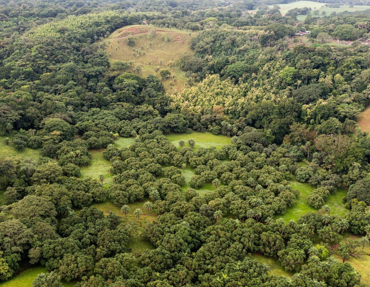 Building Lots for sale Costa Rica