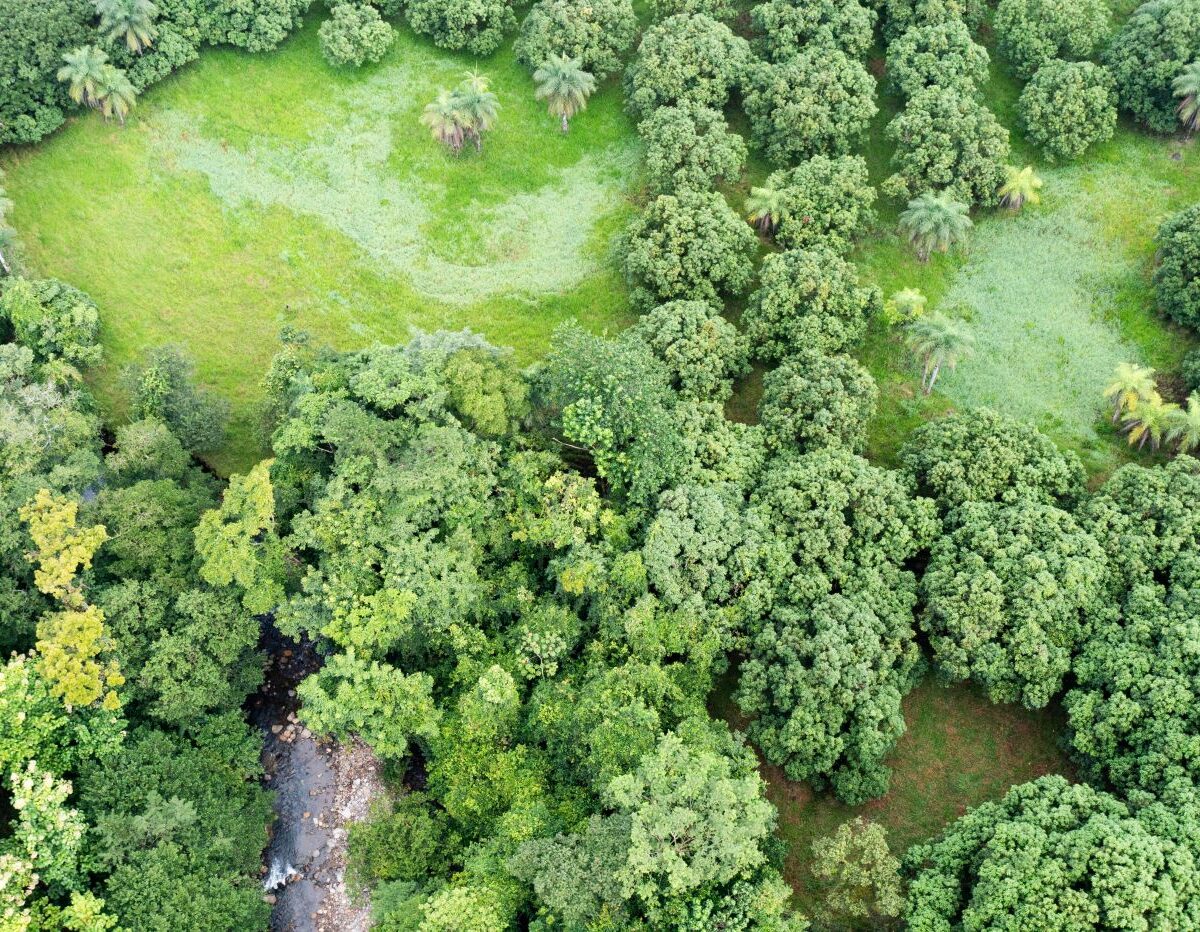 Building Lots for sale Costa Rica