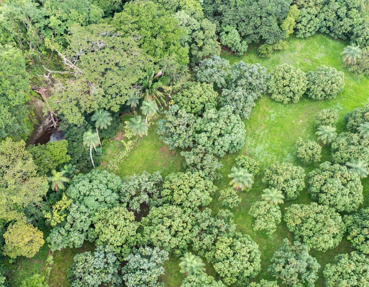 Building Lots for sale Costa Rica