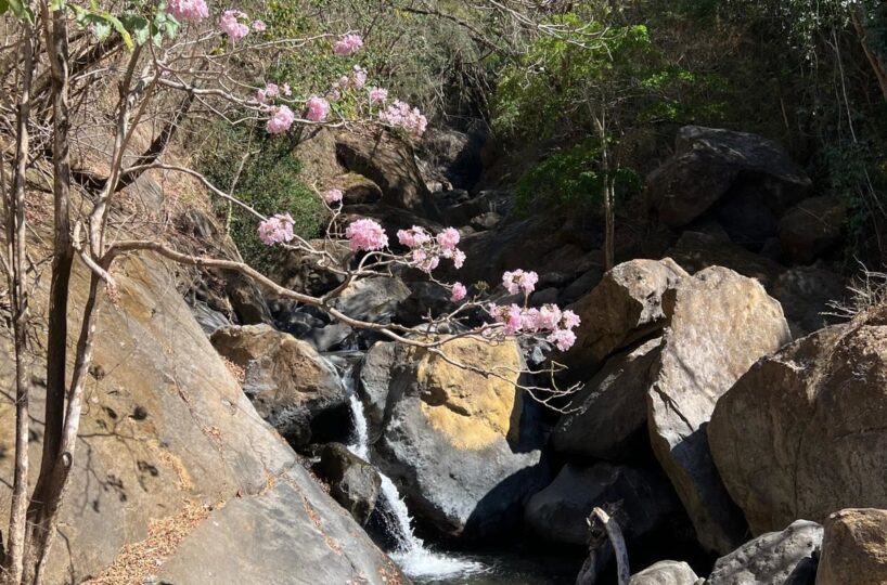 Building Lots for sale Costa Rica