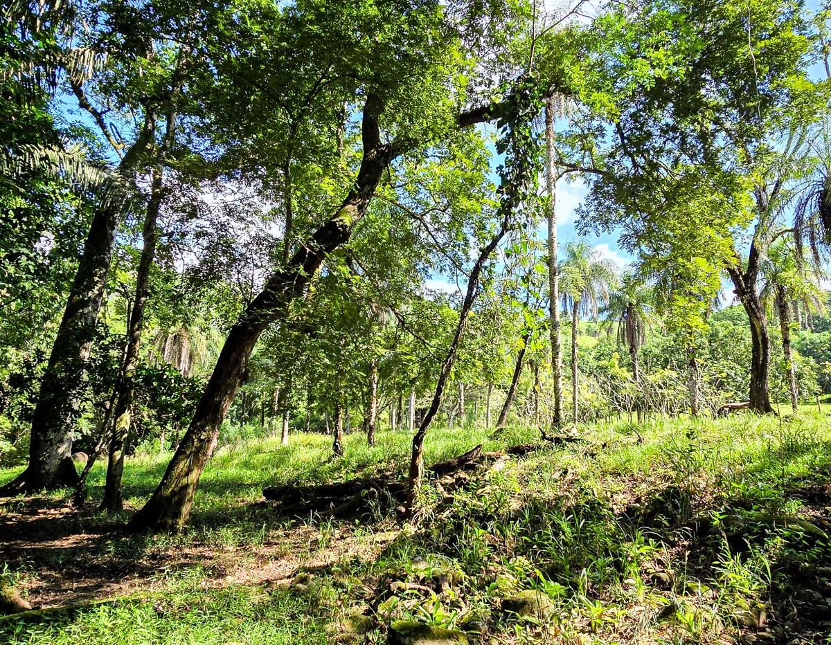 Building Lots for sale Costa Rica