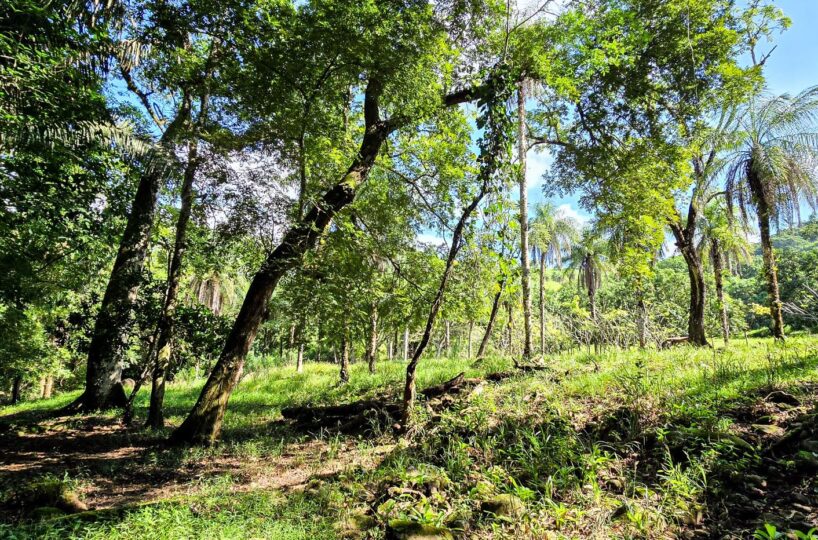 Building Lots for sale Costa Rica