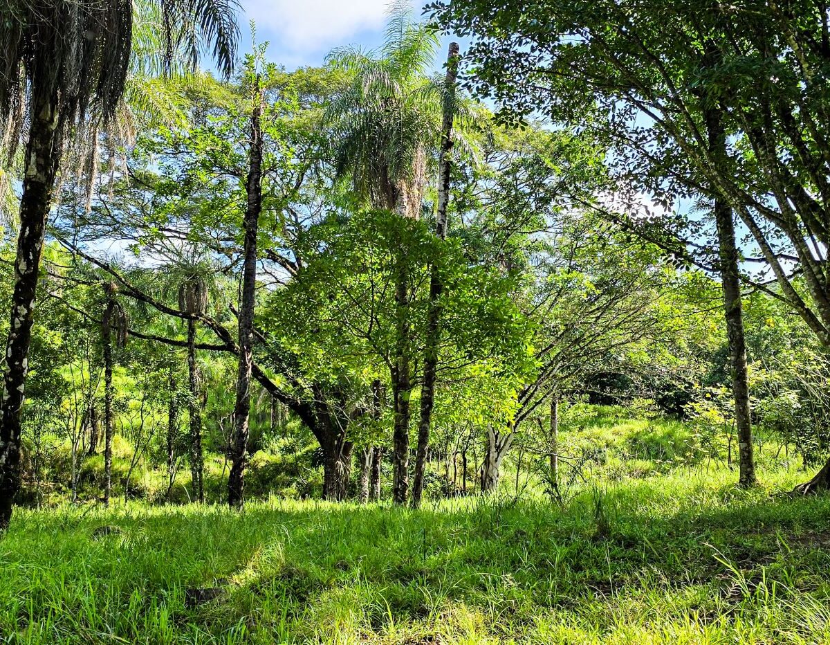 Building Lots for sale Costa Rica