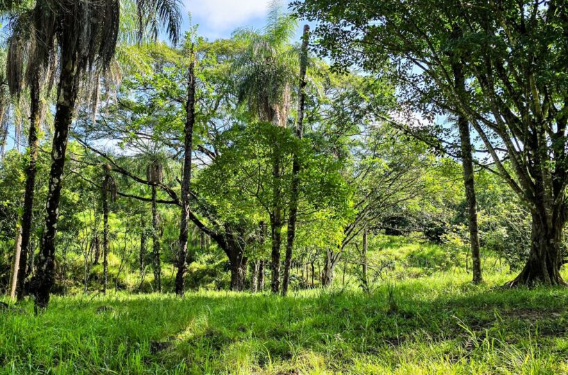 Building Lots for sale Costa Rica