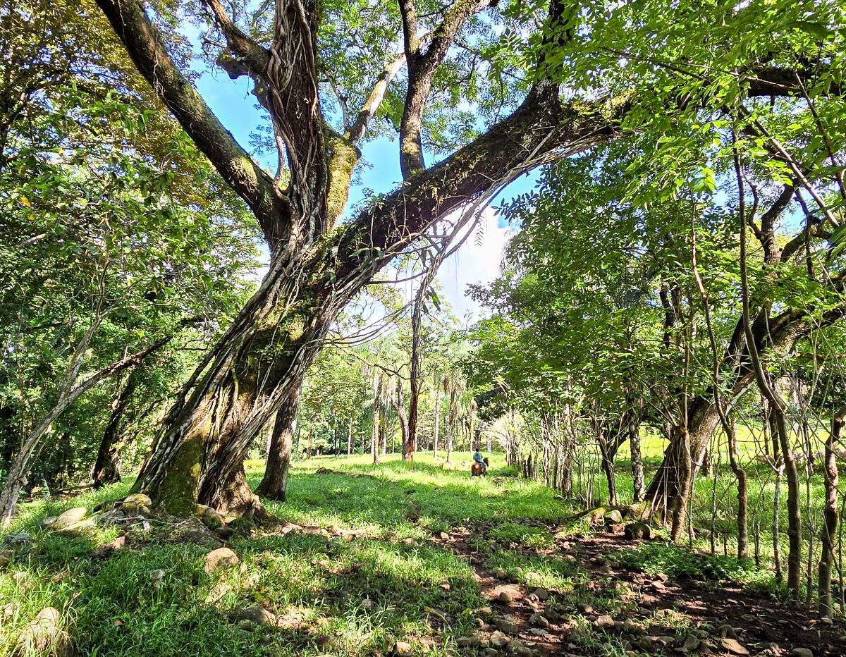 Building Lots for sale Costa Rica