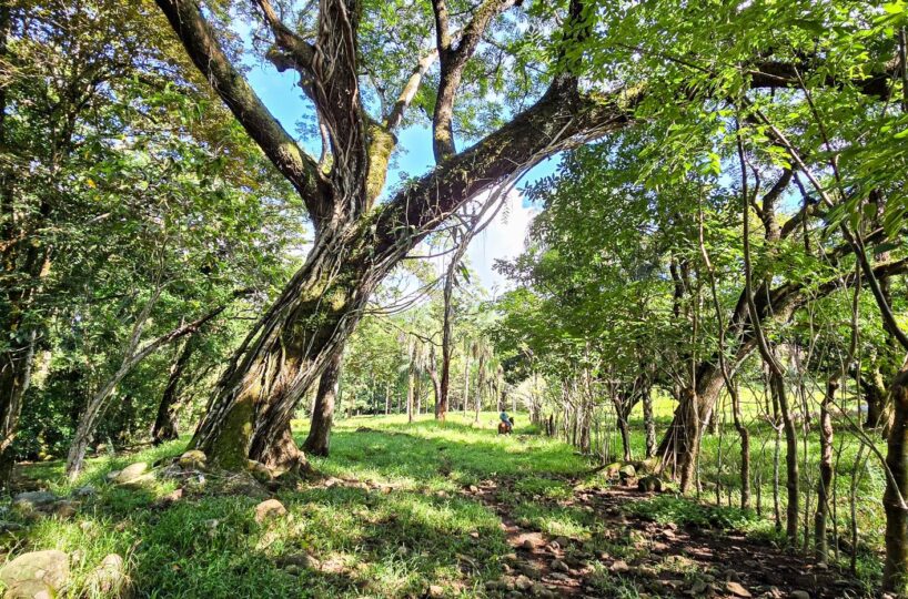 Building Lots for sale Costa Rica