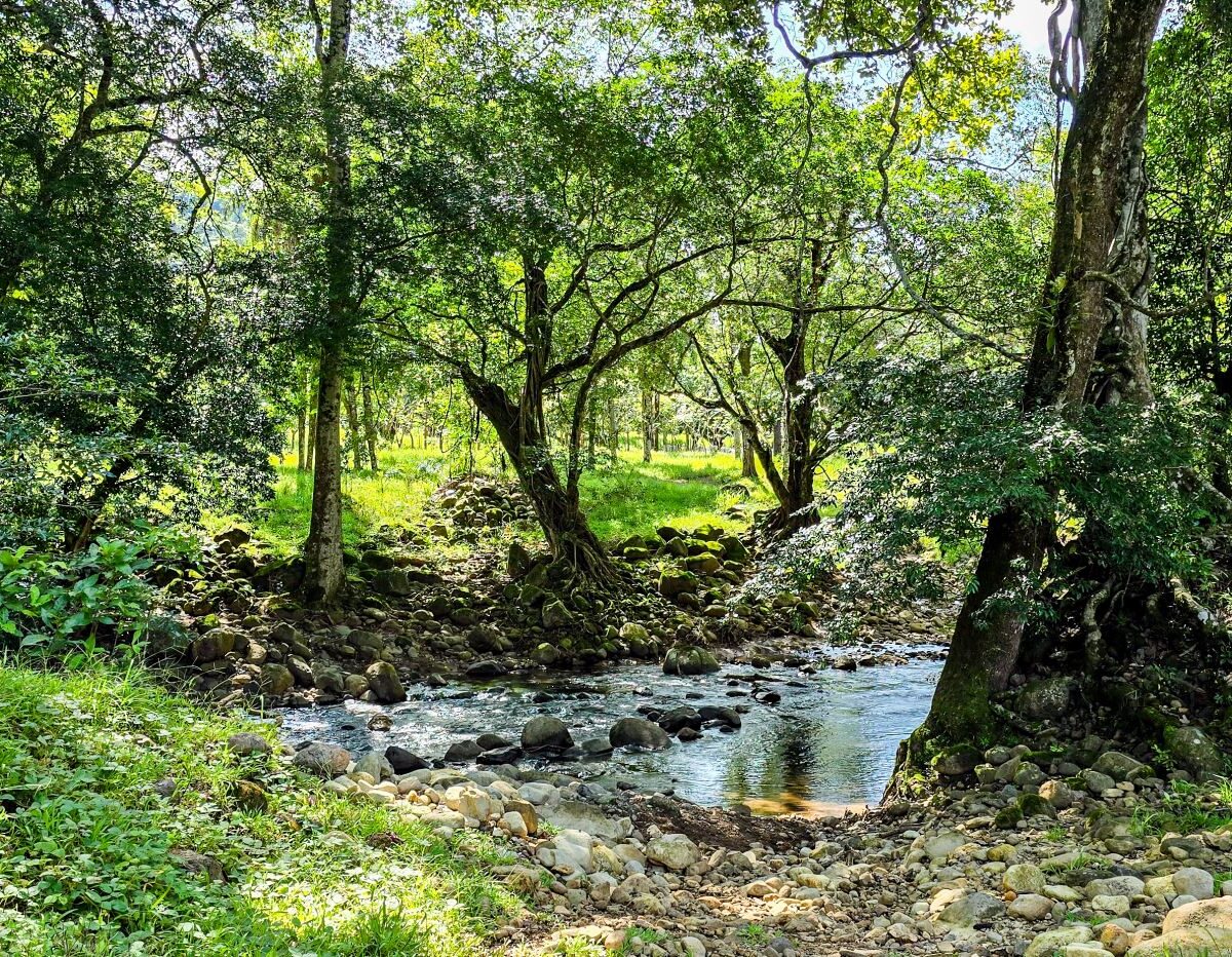 Building Lots for sale Costa Rica