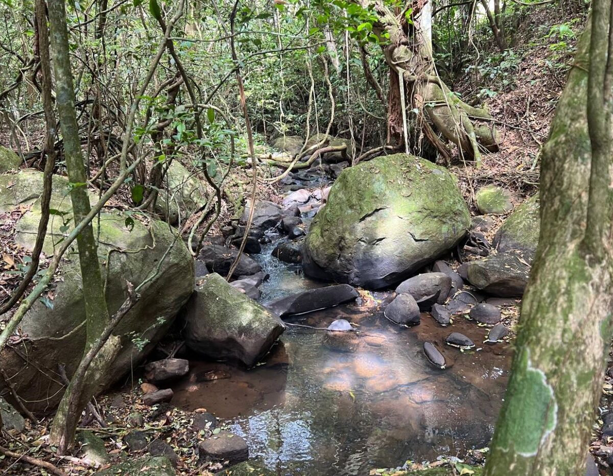 Building Lots for sale Costa Rica