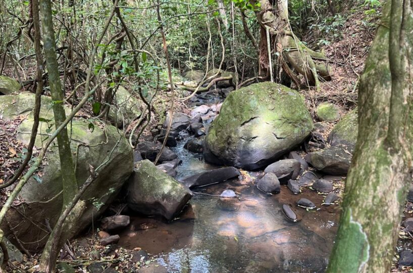 Building Lots for sale Costa Rica